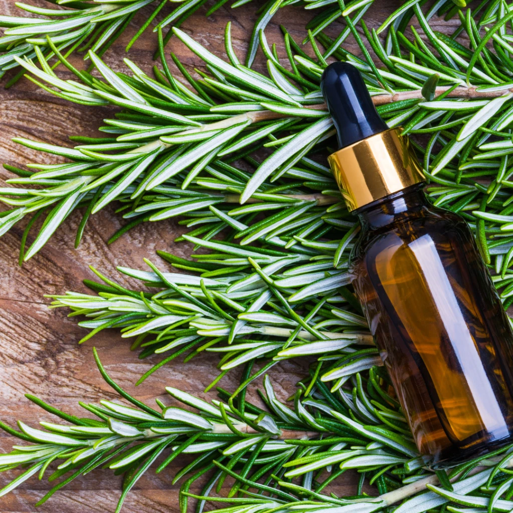 Rosemary oil